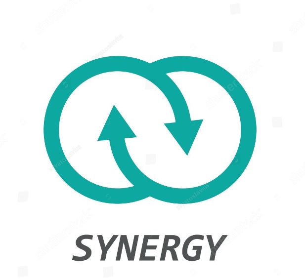 Synergy Builder